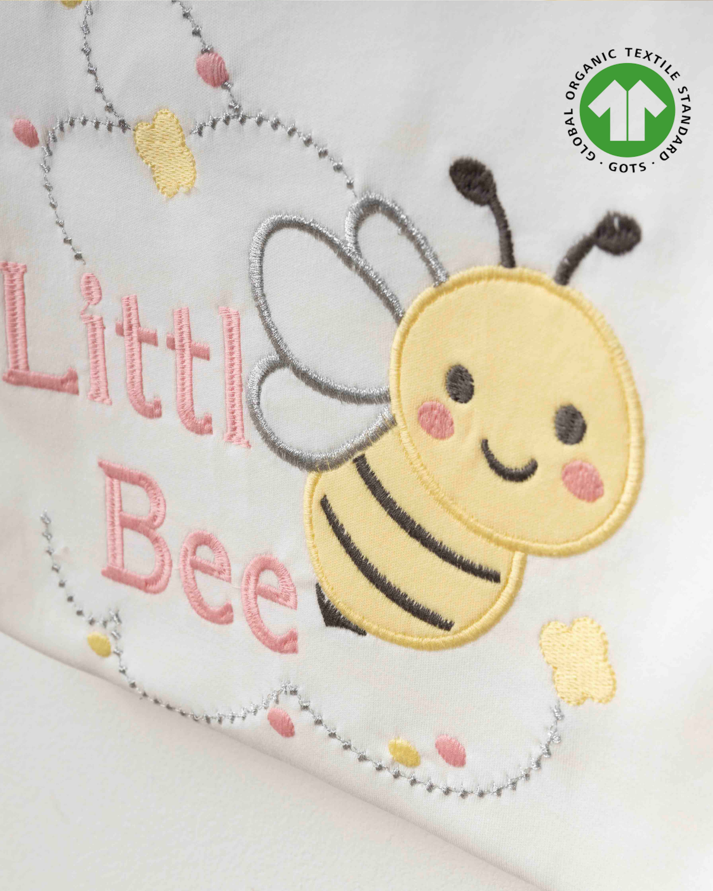 ORGANİK Kavun İçi 5'li Set