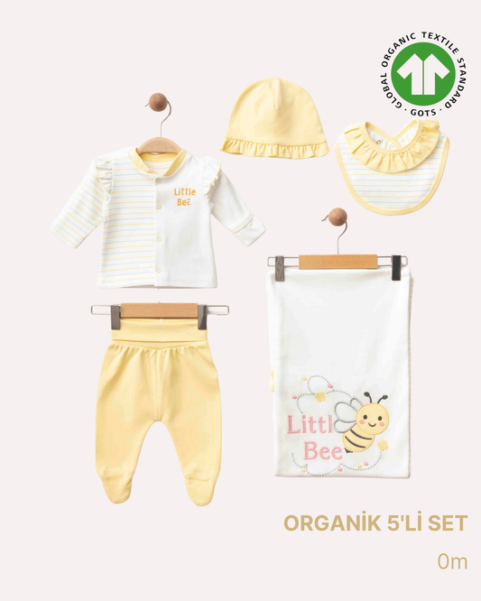 ORGANİK Kavun İçi 5'li Set