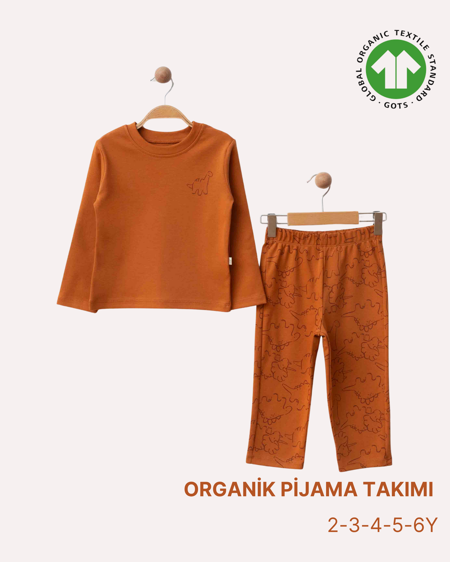 ORGANİK Tarçın Pijama Takımı (5'li Seri)