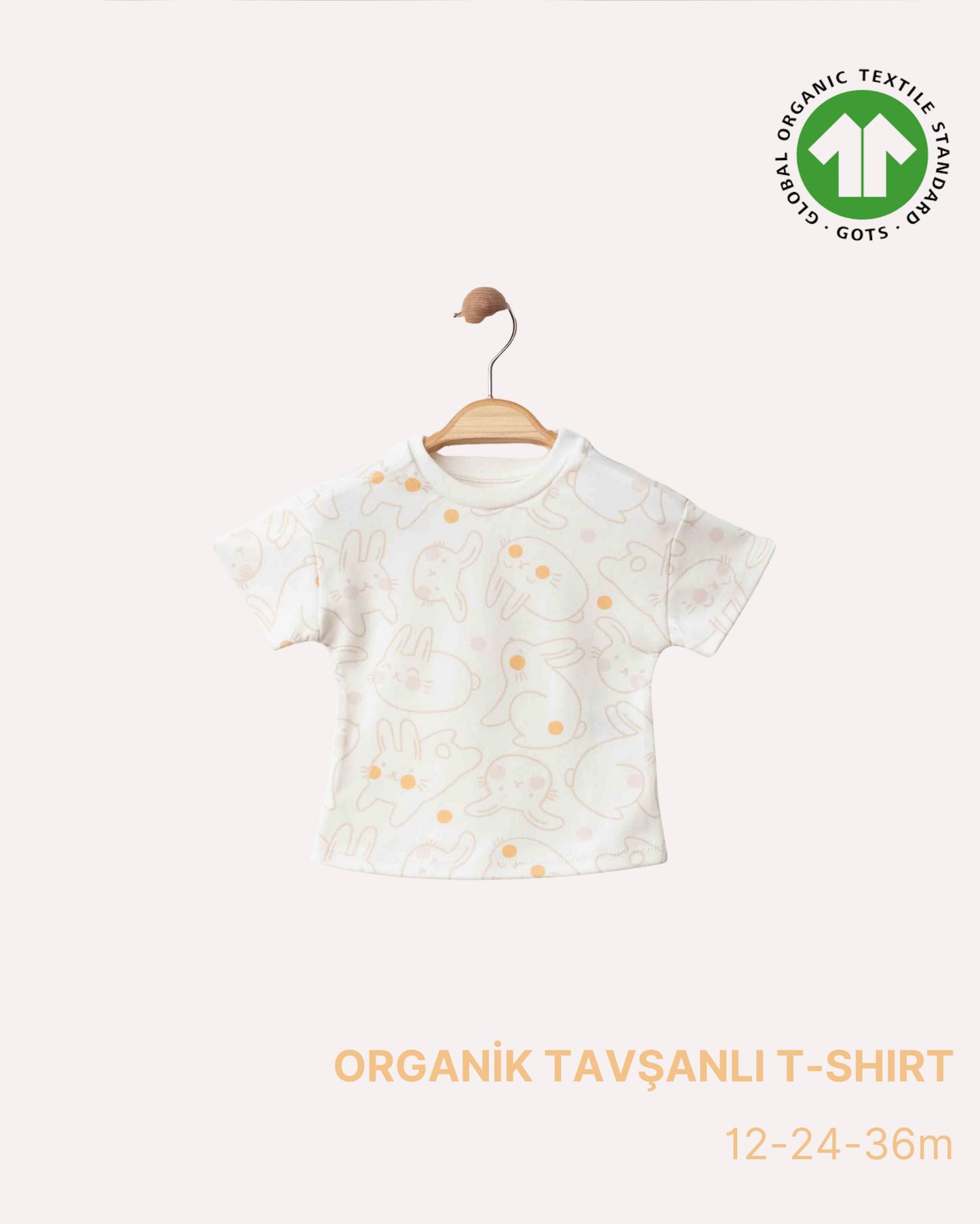 ORGANİK Tavşanlı T-Shirt (3'lü Seri)