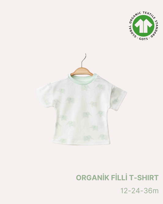 ORGANİK Filli T-Shirt (3'lü Seri)