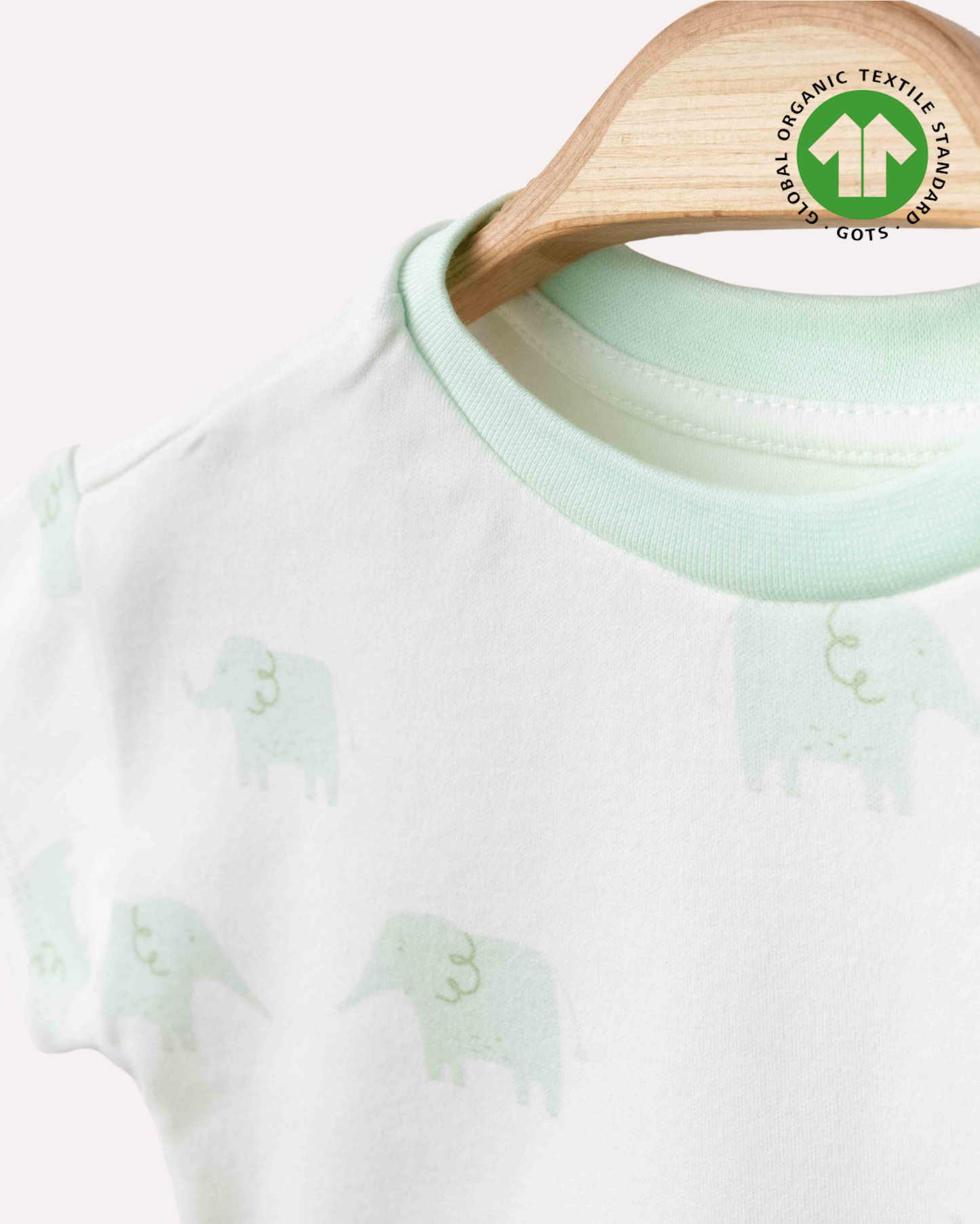 ORGANİK Filli T-Shirt (3'lü Seri)